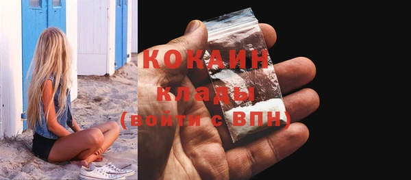 гидра Богородицк