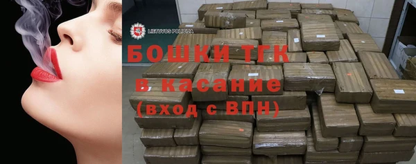 гидра Богородицк