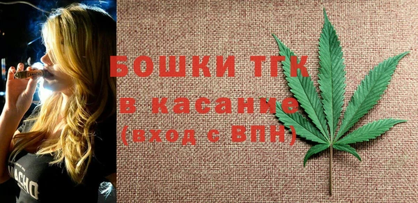 гидра Богородицк