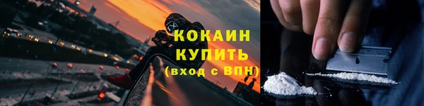 ECSTASY Белокуриха