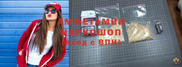 гидра Богородицк