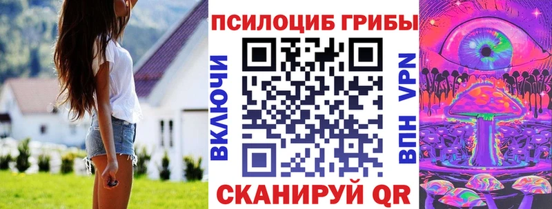 мега   Боровичи  Галлюциногенные грибы Cubensis 