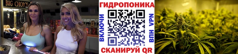 Марихуана Bruce Banner  kraken онион  Боровичи  цена  